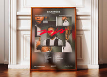 Album Poster Cicarices Zola